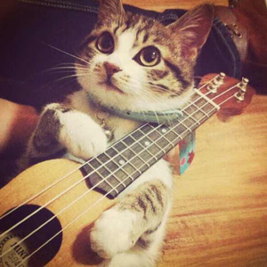 一本色道国产在线观看二区
